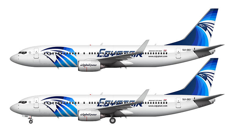 EgyptAir Boeing 737-800 Illustration