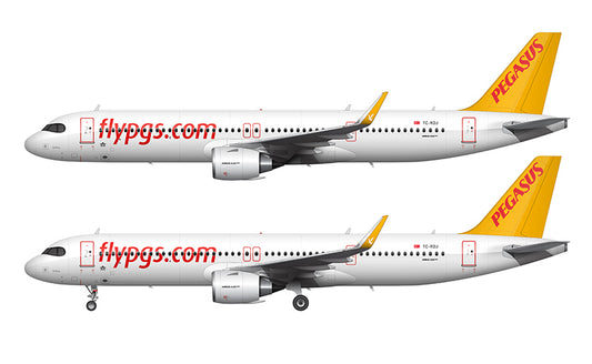 Pegasus Airlines Airbus A321-251NX Illustration