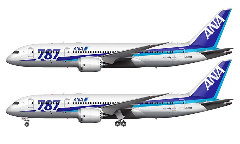 ANA Boeing 787-8 Illustration (Launch Livery)
