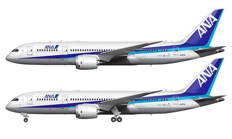 ANA Boeing 787-8 Illustration