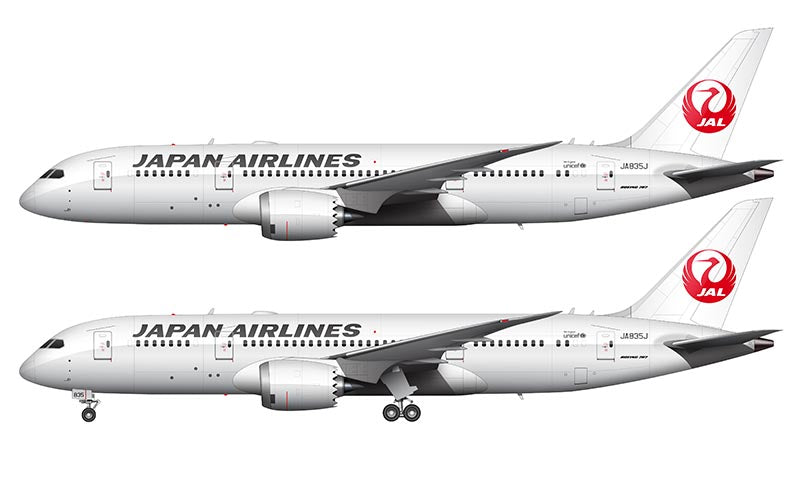 Japan Airlines Boeing 787-8 Illustration