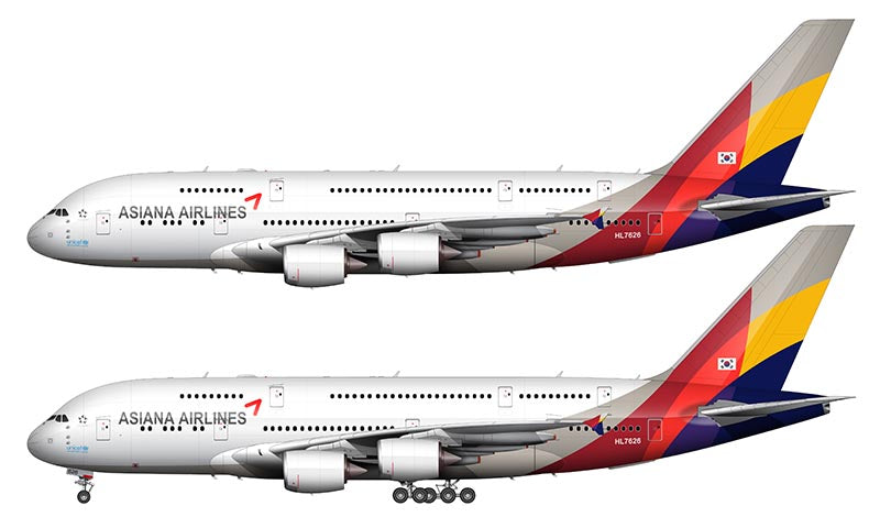 Asiana Airlines Airbus A380-841 Illustration